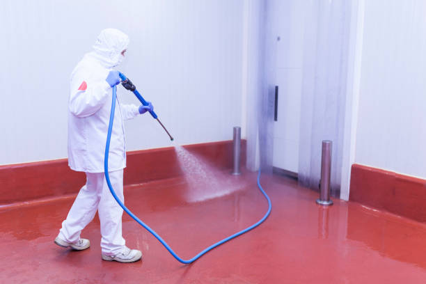 Best Paint Preparation  in Grantville, GA